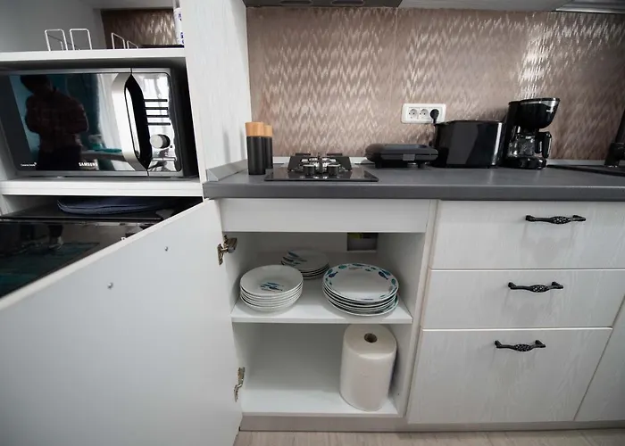 Black Sea Apartament *