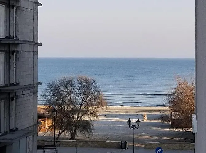 Black Sea ナボダリ